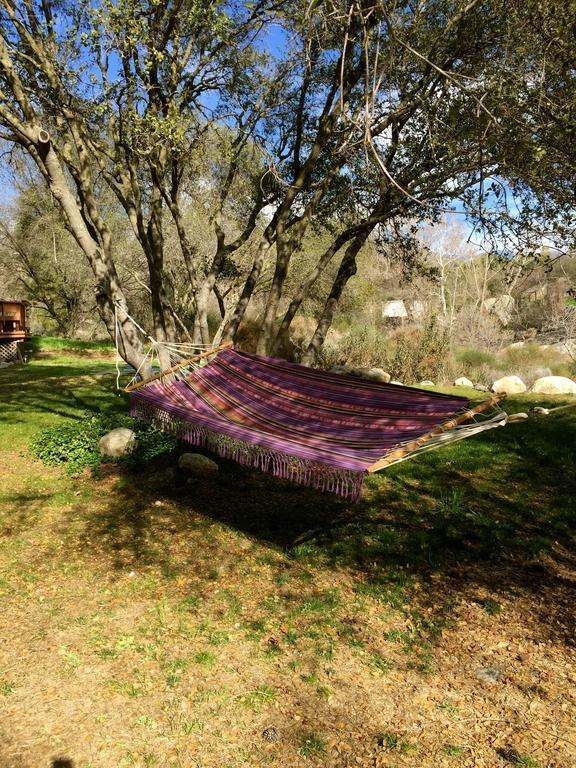 Kaweah Chakra Resort Three Rivers Pokój zdjęcie
