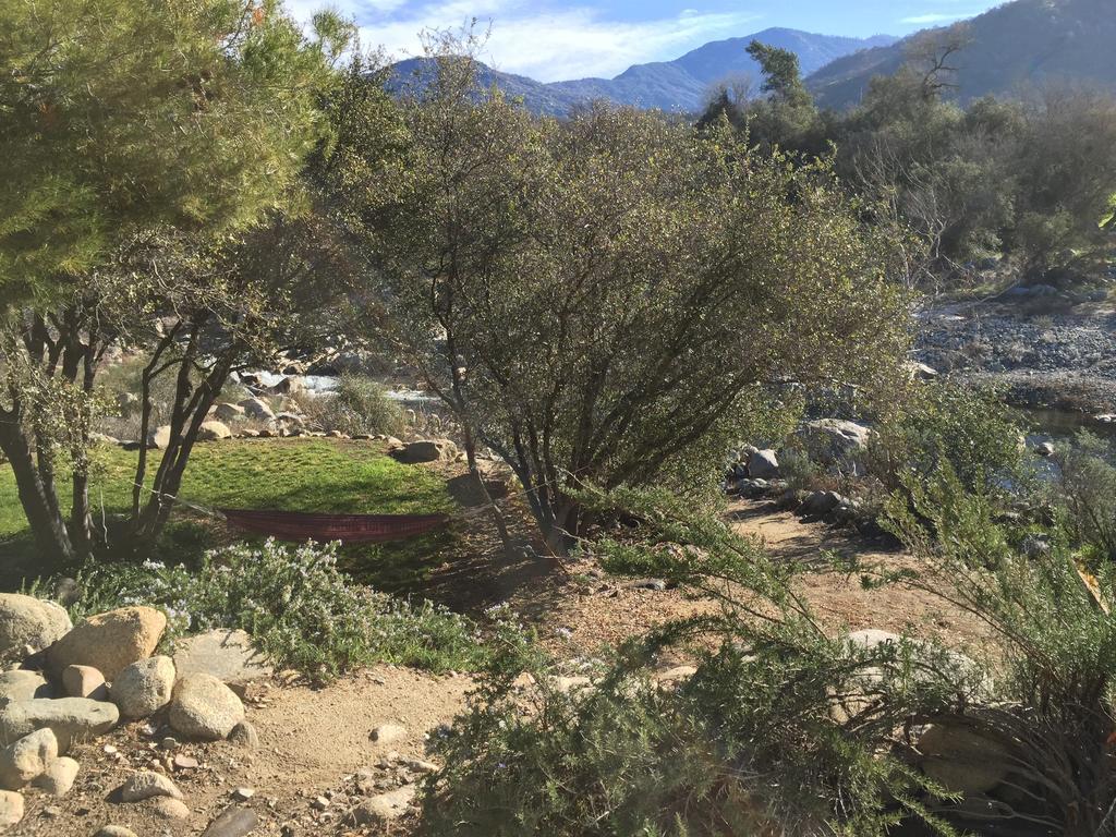 Kaweah Chakra Resort Three Rivers Pokój zdjęcie